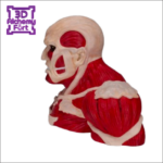 3D COLOSSAL TITAN - Image 4
